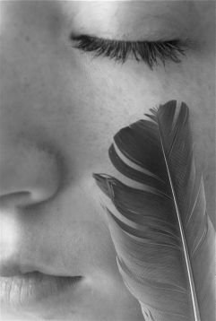 plume